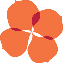 NT Christian Schools